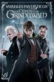 Animales fantásticos: los crímenes de Grindelwald