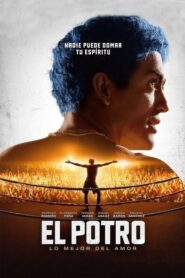 El Potro: lo mejor del amor