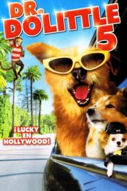 Dr. Dolittle 5: El Perro Del Millón De Dólares