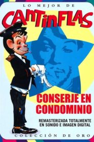 Conserje en Condominio