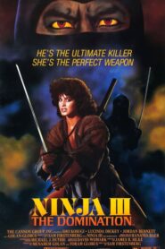 Ninja 3: El poder del sable