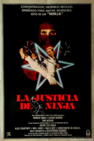 La justicia del Ninja