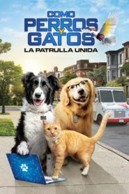 Como perros y gatos 3: Patas unidas