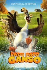 Pato, pato, ganso