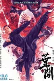 IP Man: El maestro del kung fu