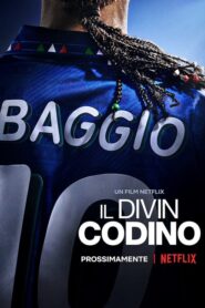 Roberto Baggio: El Divino