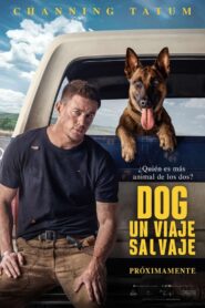 Dog: Un Viaje Salvaje