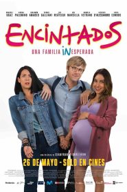 Encintados