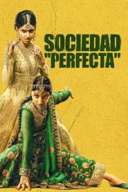 Sociedad “perfecta”