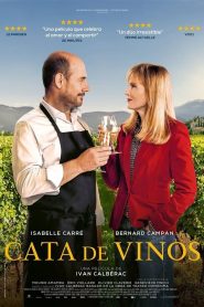 Cata de vinos