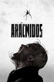 Arácnidos